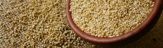 quinoa